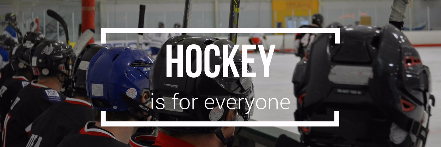 Washington Ice Dogs banner