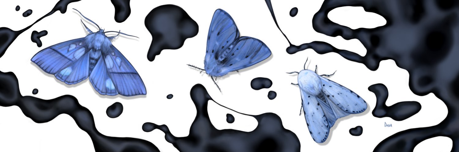 ᴰᵃⁿᵃ 🇺🇦's banner