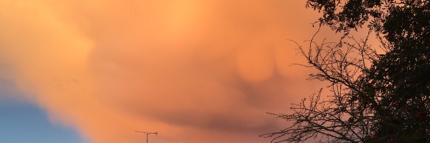 GCarr0's profile banner image