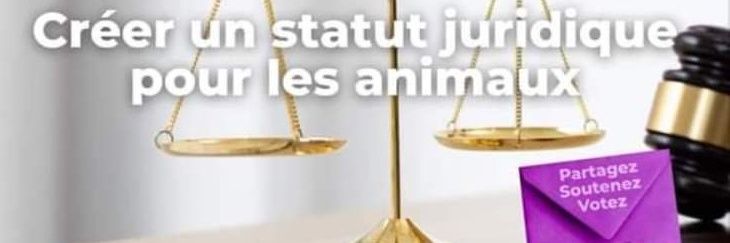 Dominique Broussaudier banner