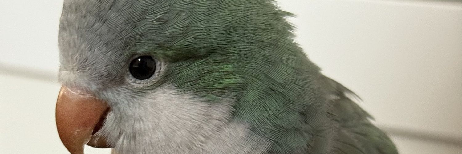 NanthasornS's profile banner image