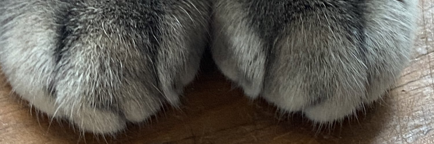 𝐸𝓋𝒶 banner