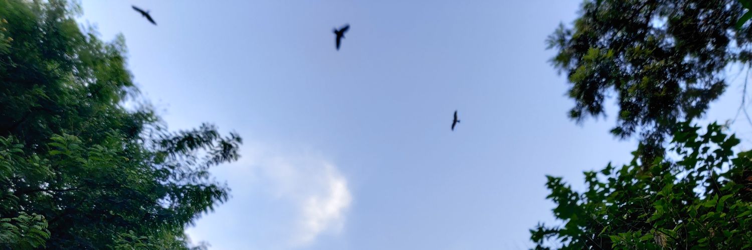 ATypeOfDog's profile banner image