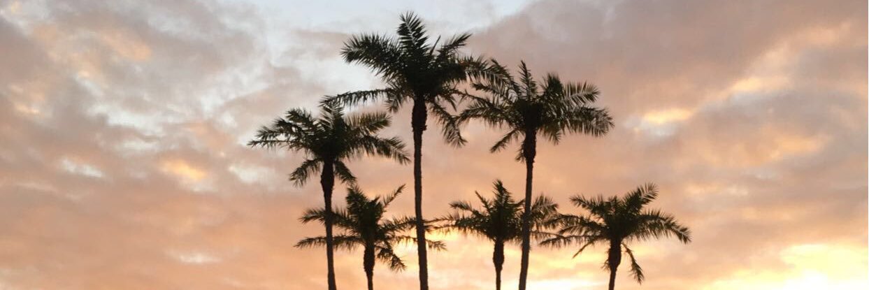 anniewiley13's profile banner image