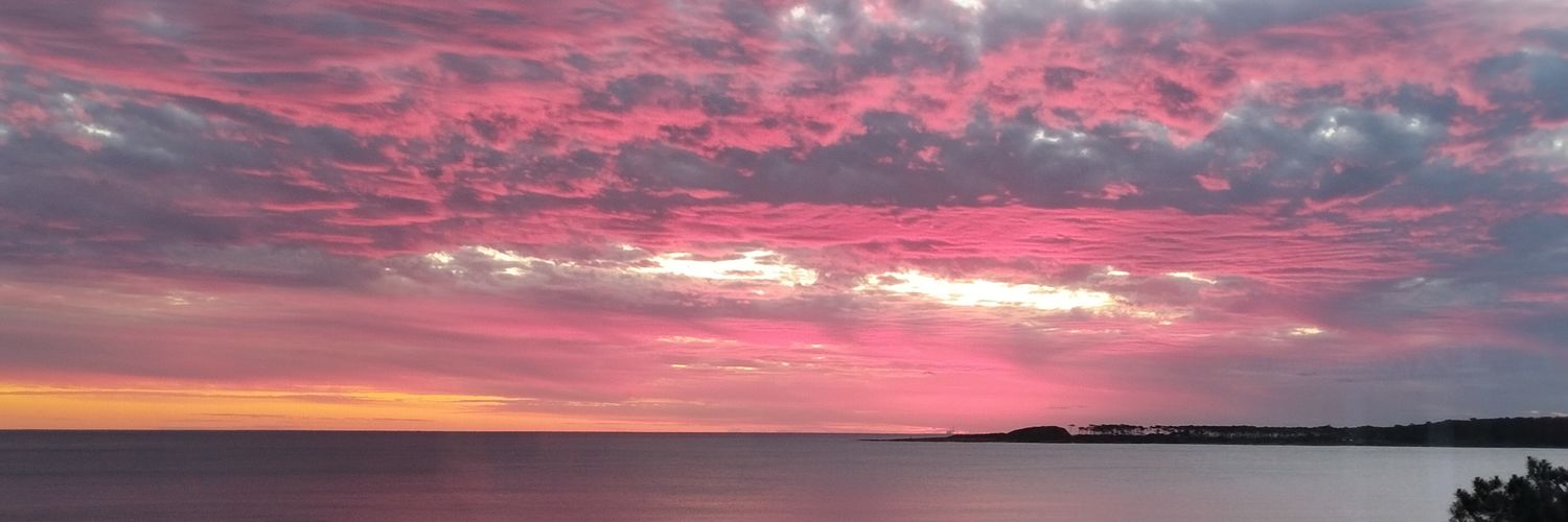 LaPluRealista's profile banner image