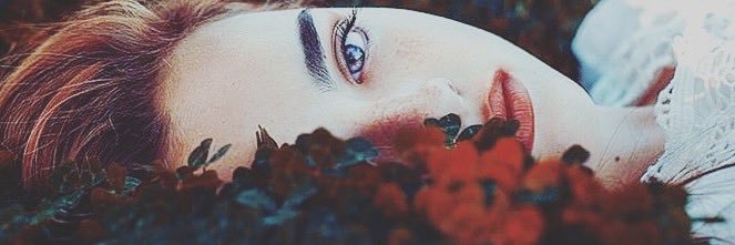 Kea_444's profile banner image