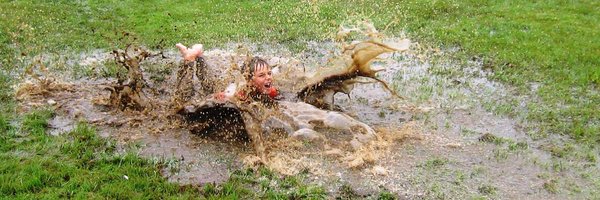 WhitePineNature Profile Banner