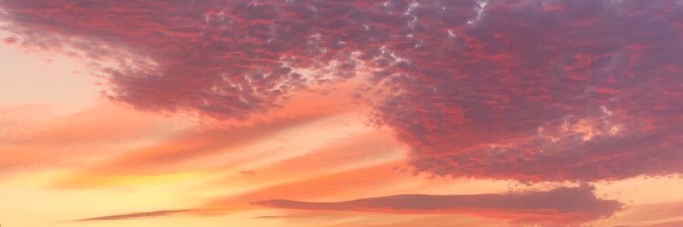 caitlin banner