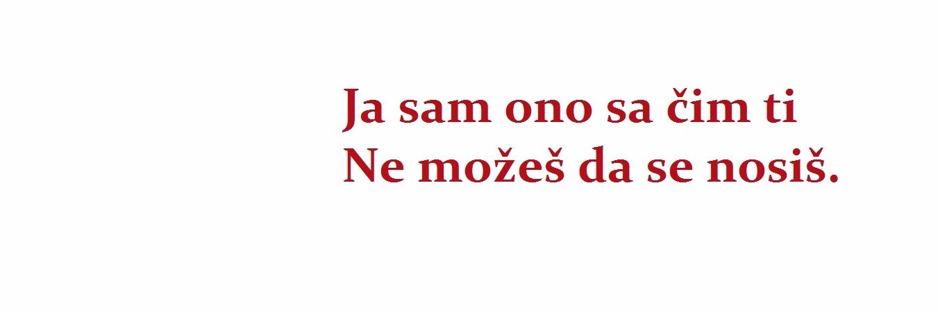Sandra Romić's banner