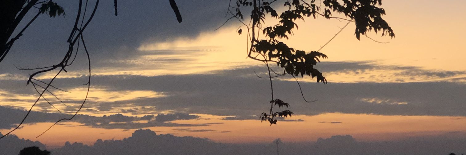 adtymrt's profile banner image