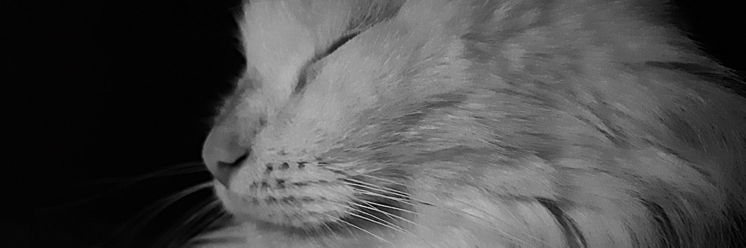 omerfaruuk__'s profile banner image