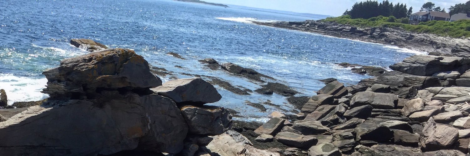 MarisaTuresky banner