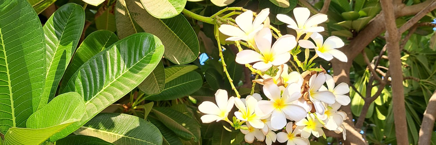 Musallam1988's profile banner image