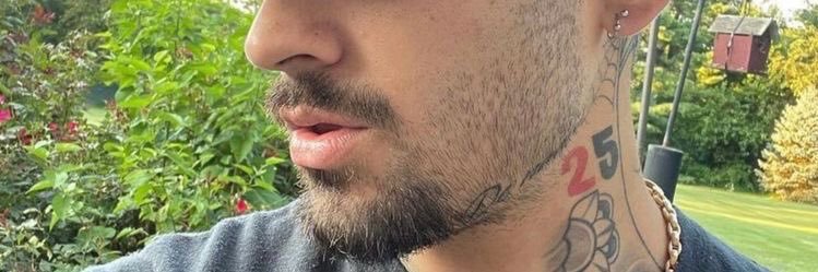 zayndromm's profile banner image