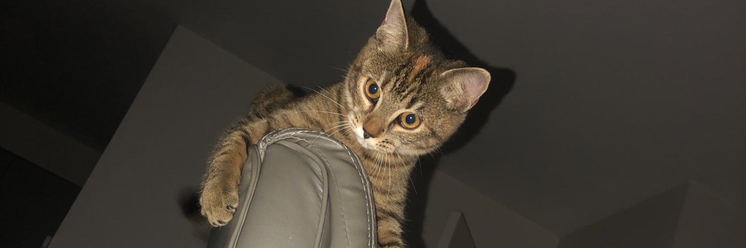CayronEsteban's profile banner image