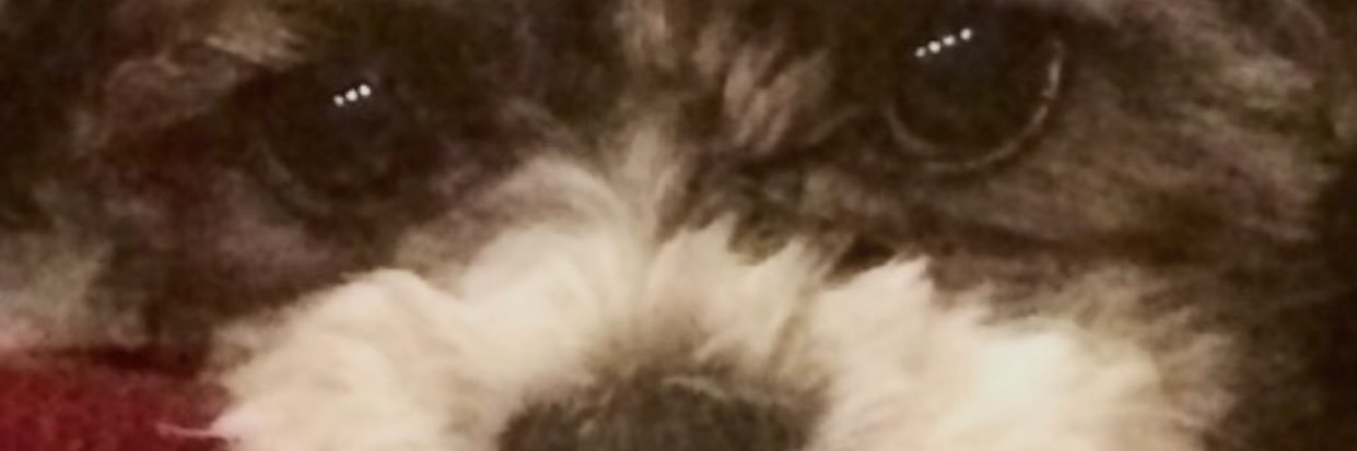 Helmax's profile banner image