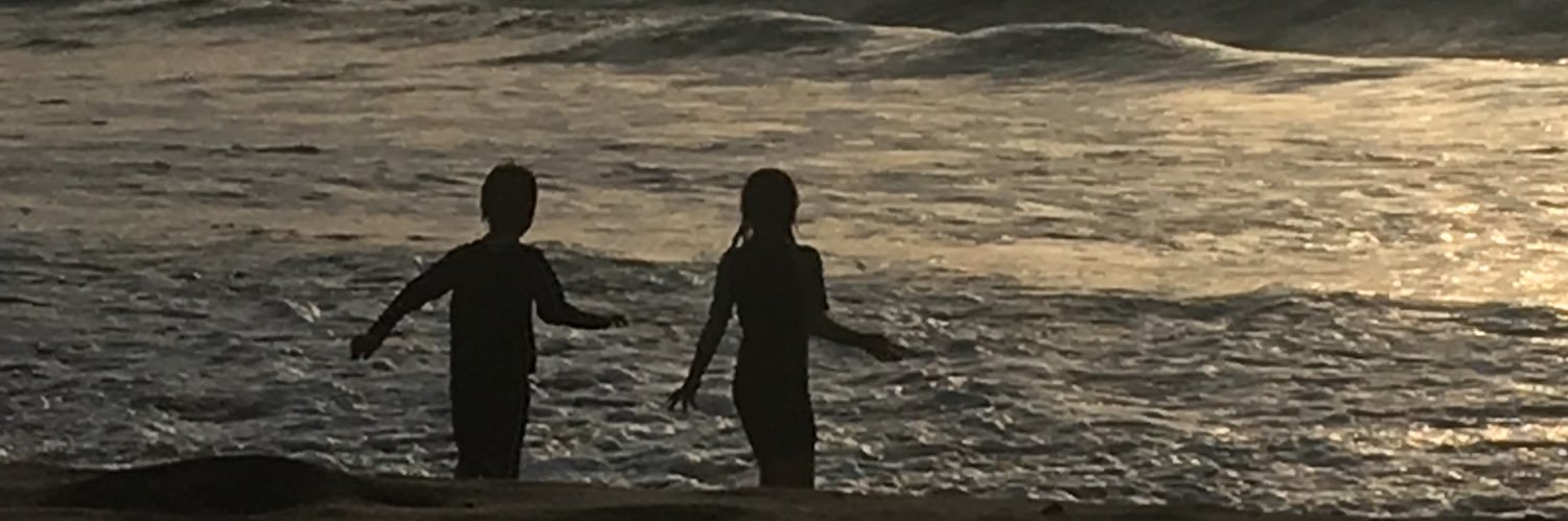 Dr Helen c Brotherton banner