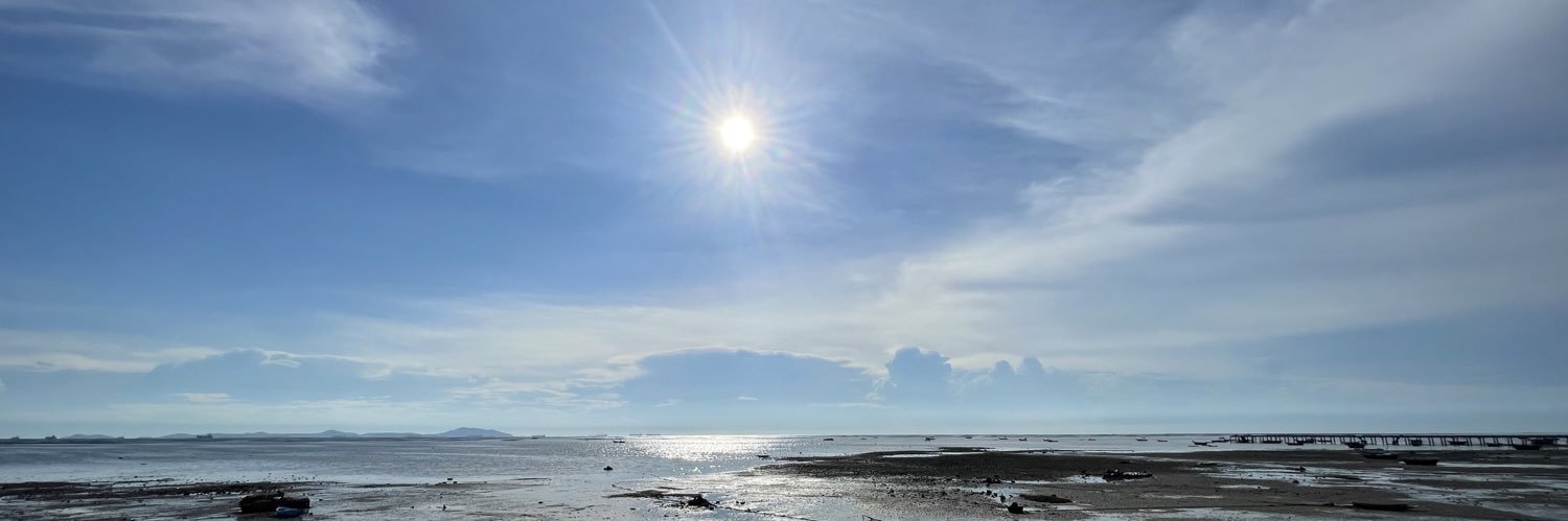 IG : bowii_st banner