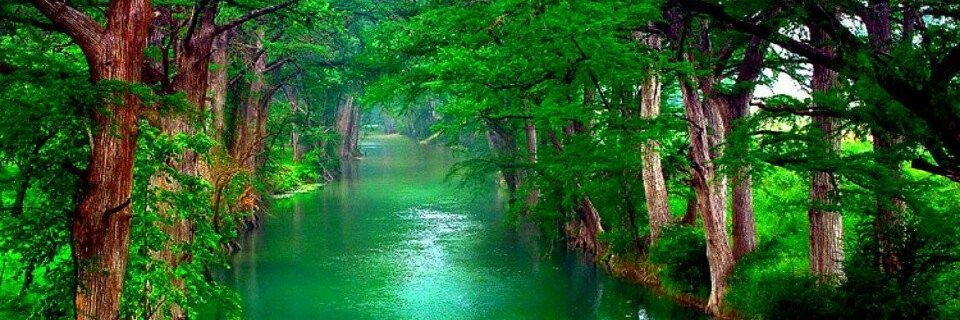 Life & Nature banner