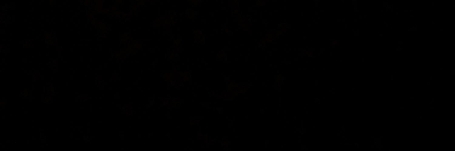 DoukanAlyakut's profile banner image