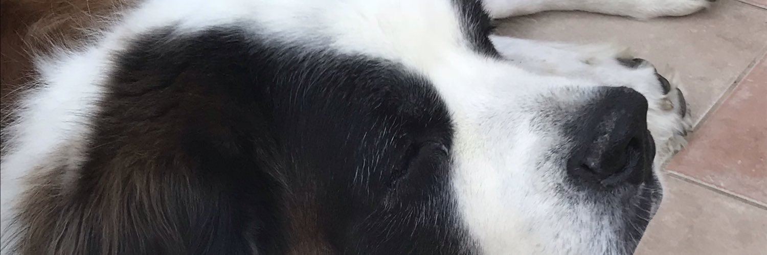 GloriaPau1's profile banner image