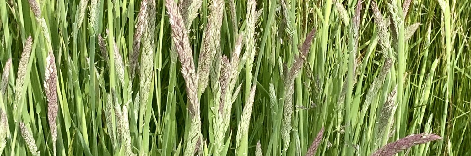 Dawn Marie Gratton banner