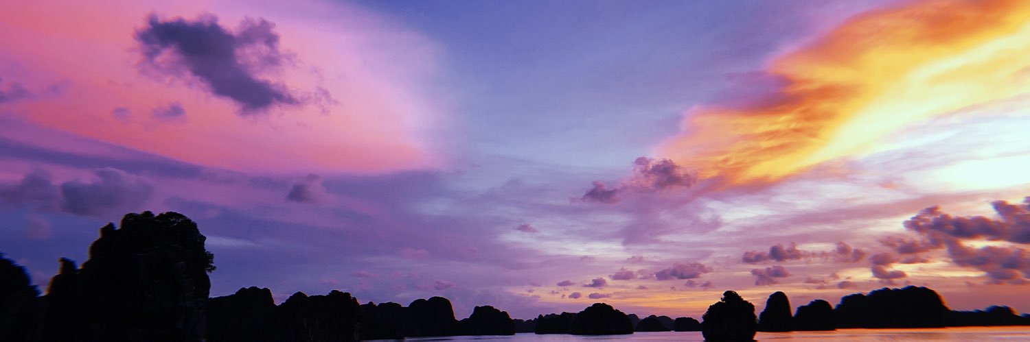 enseilia's profile banner image