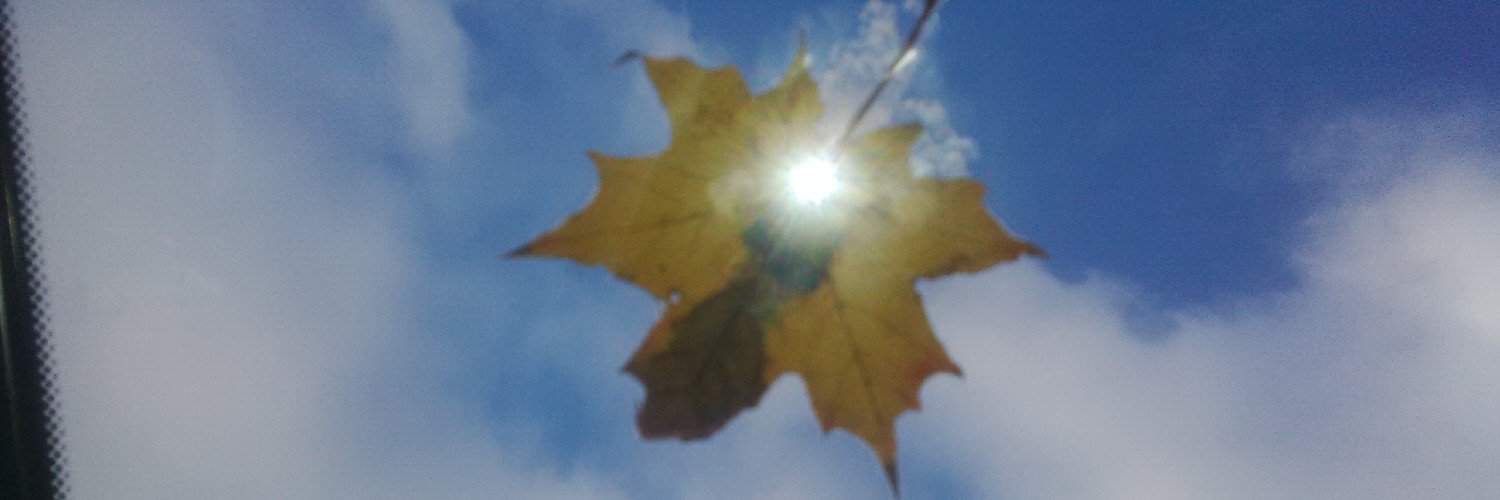 PardyLarry's profile banner image