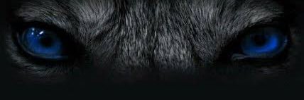 MuhammetAkkus10's profile banner image