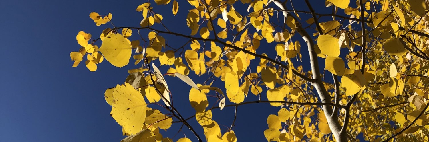 kiersmonaghan's profile banner image