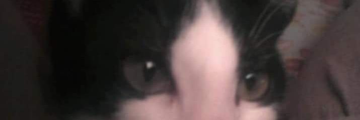 fer_runner31's profile banner image