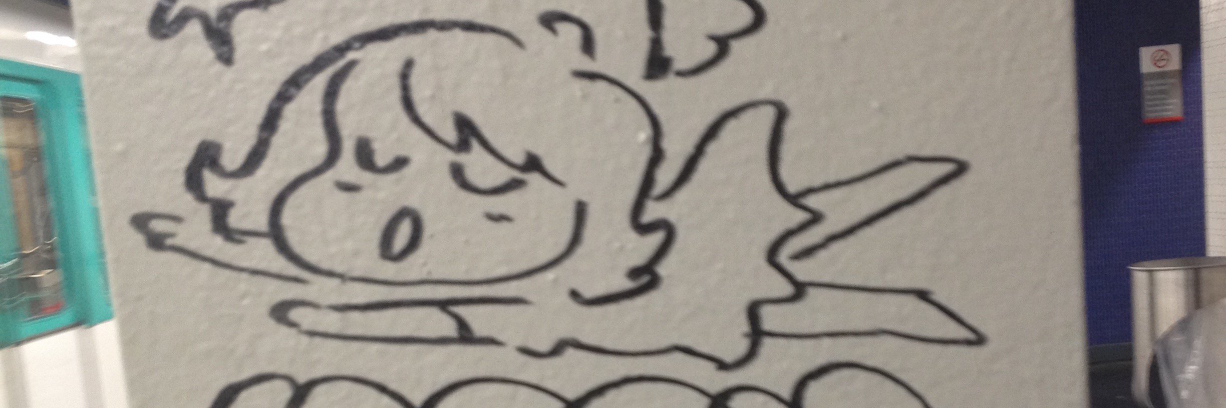 Anaïs Chevillard banner