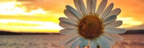_Kayberry's profile banner image