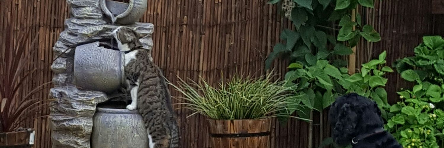 _agak76's profile banner image