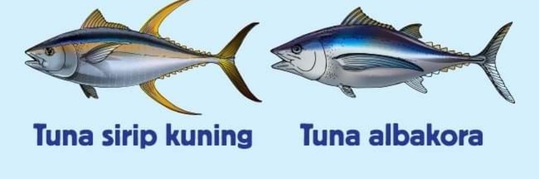 Tuna banner