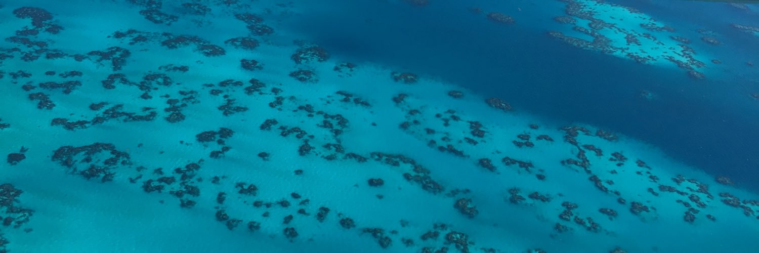 Monique Farrow, MD banner