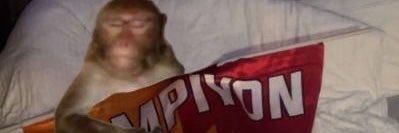 kardozkan's profile banner image