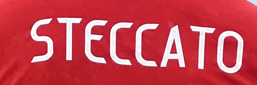 Brian Steccato banner