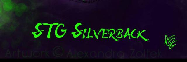 stgsilverback's profile banner image