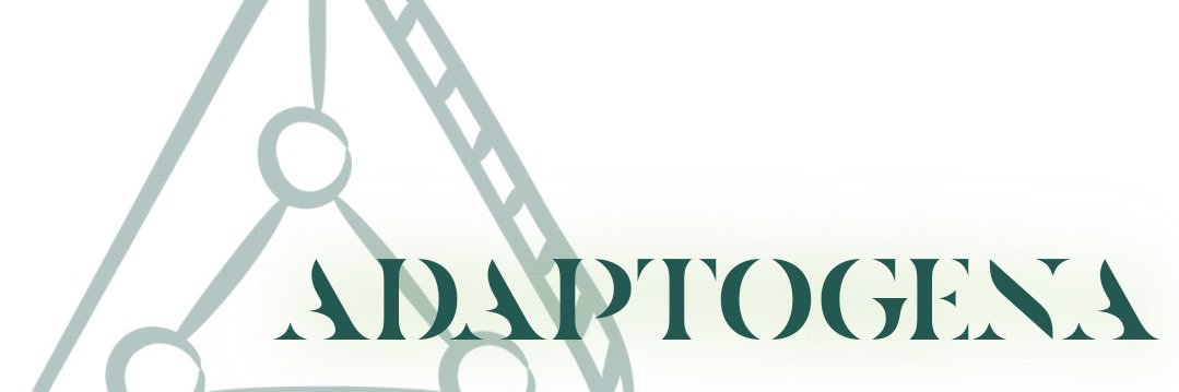 energeticarb's profile banner image