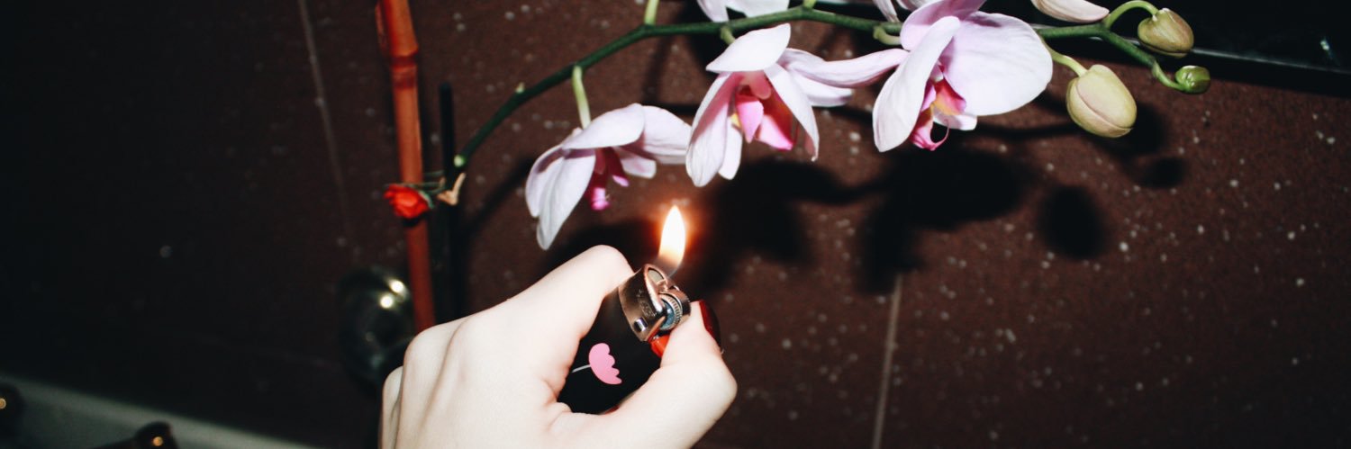 𝔪𝔞𝔡𝔢𝔩𝔢𝔦𝔫𝔢 𝔟𝔞𝔯𝔫𝔢𝔰 💀 banner