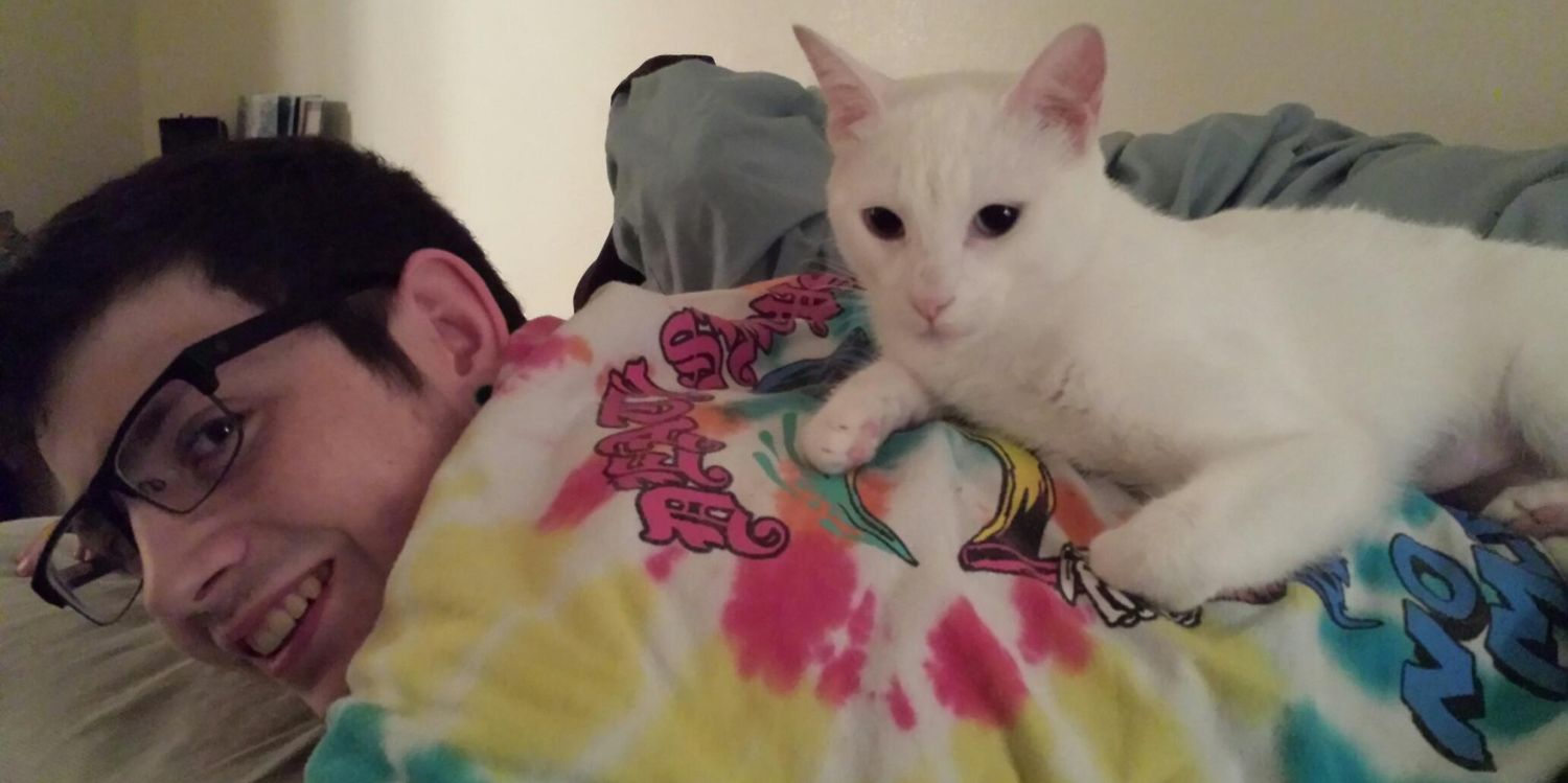 meowmoew_meow's profile banner image