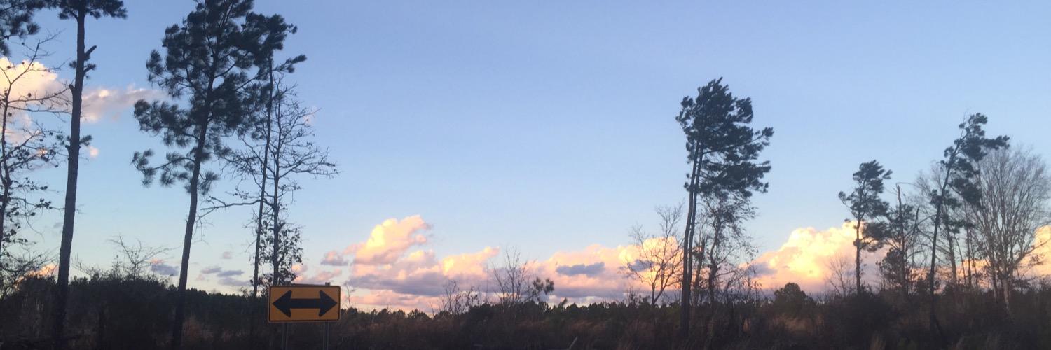 ScoutRabbitt's profile banner image