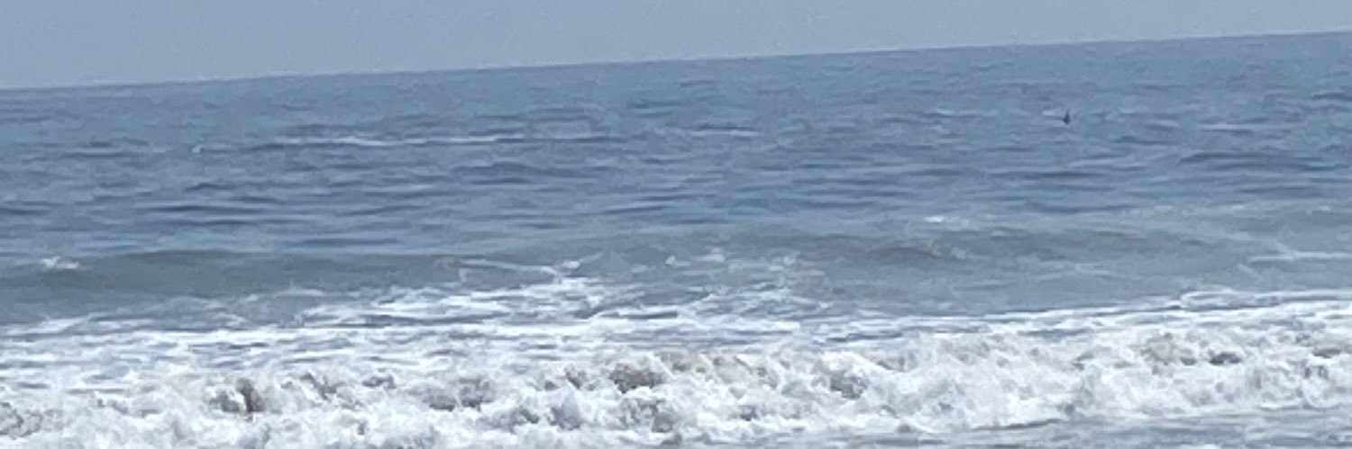 danielaparedees's profile banner image