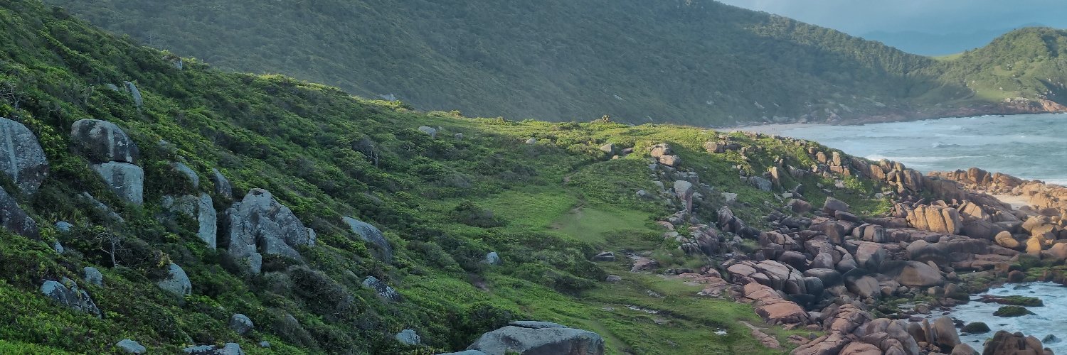 Marcus Pereira banner