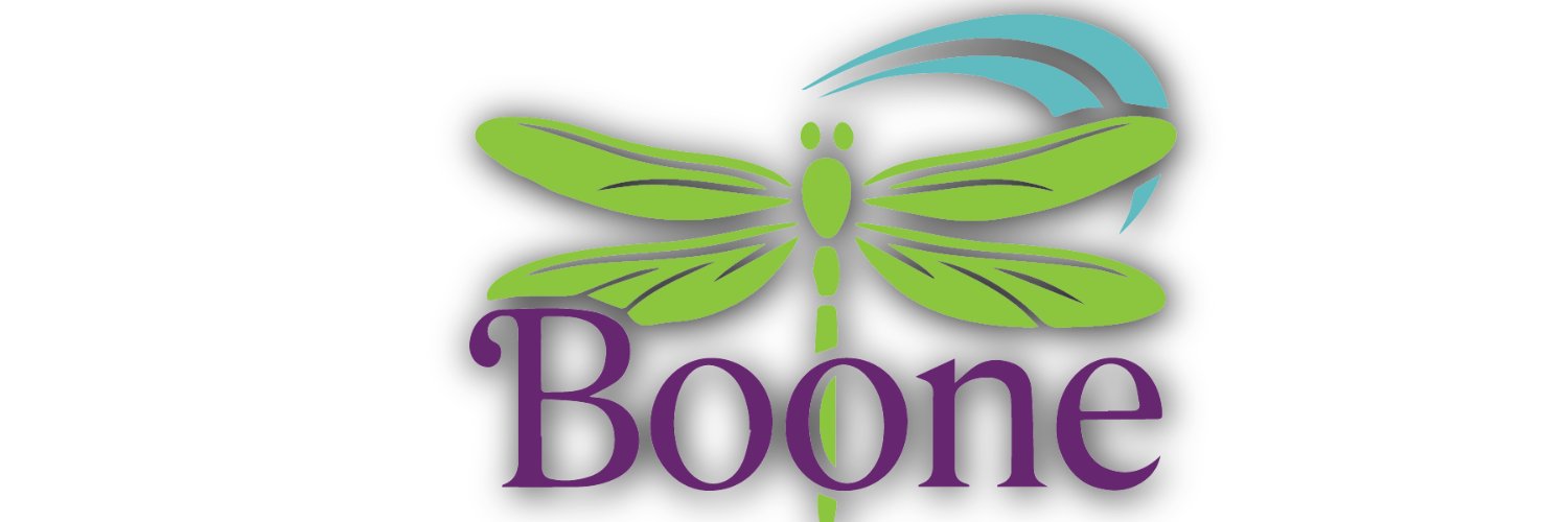 BooneArtStudio's profile banner image