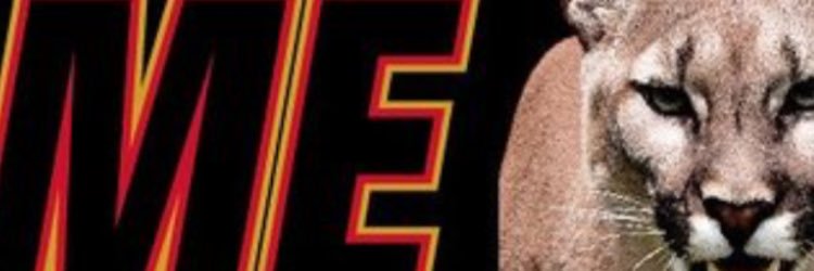 Shane Mathew Tesler banner