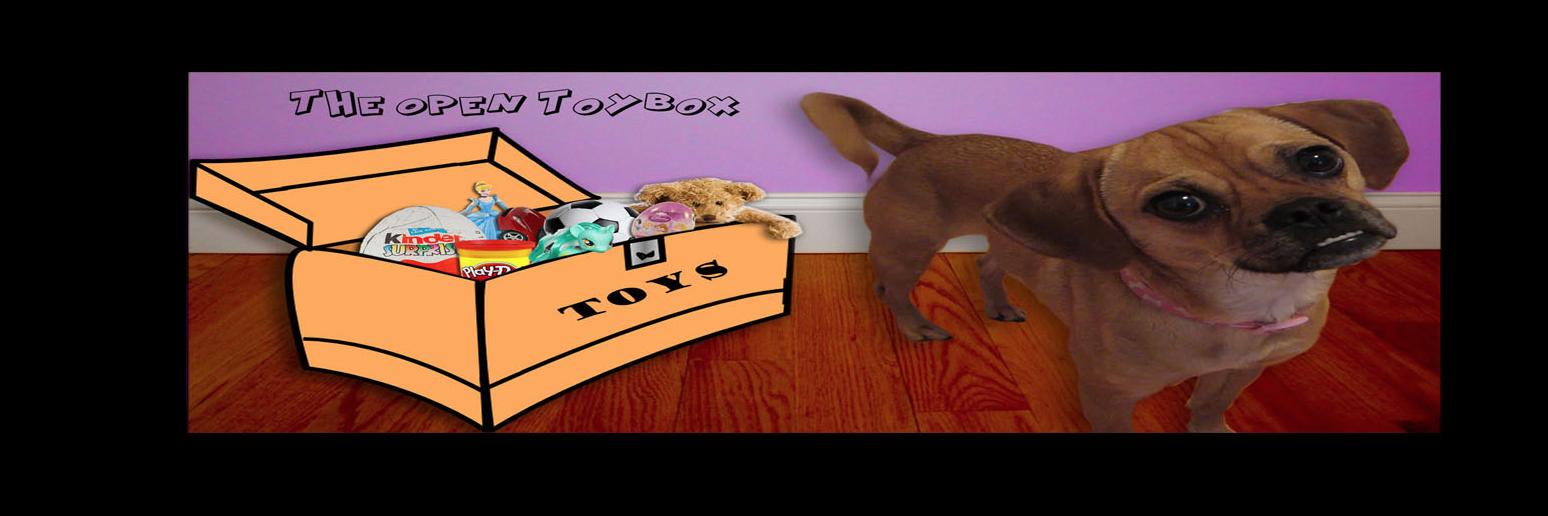 TheOpenToyBox's profile banner image