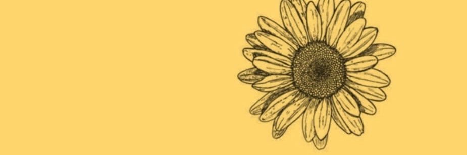 rfalberg7's profile banner image