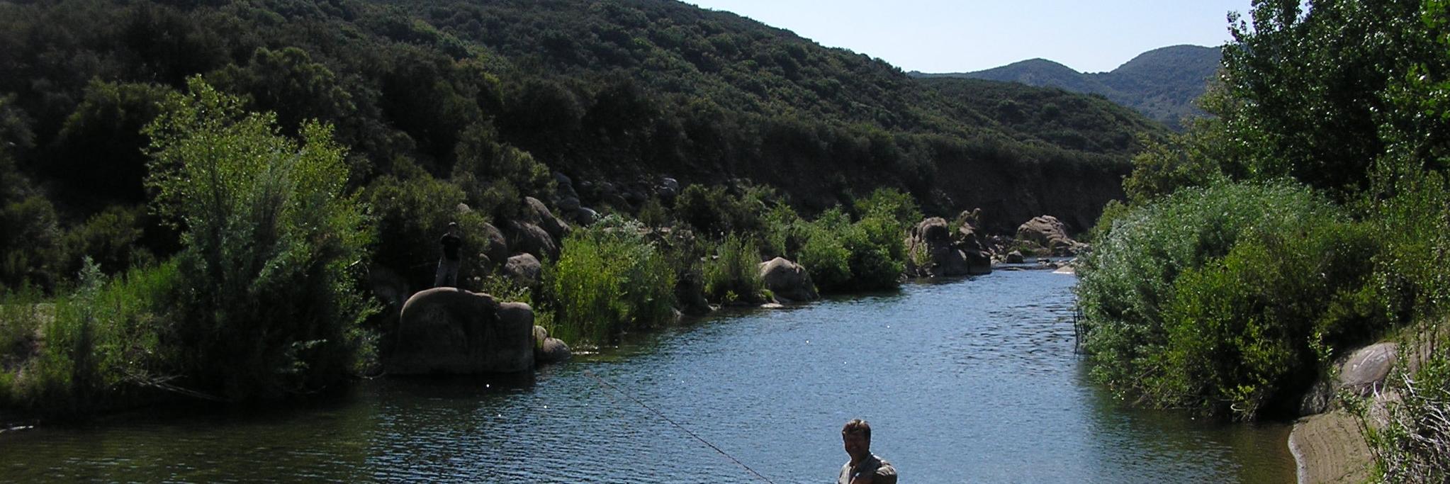sespeflyfishers's profile banner image